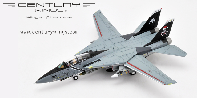 Centurywings F-14A - その他