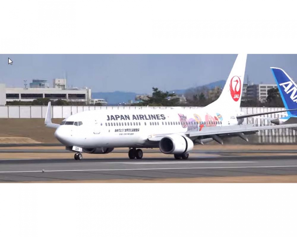 JAL B737-800 