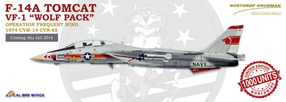 www.JetCollector.com: Grumman F-14A USN VF-1 Wolfpack, NK100,1:72